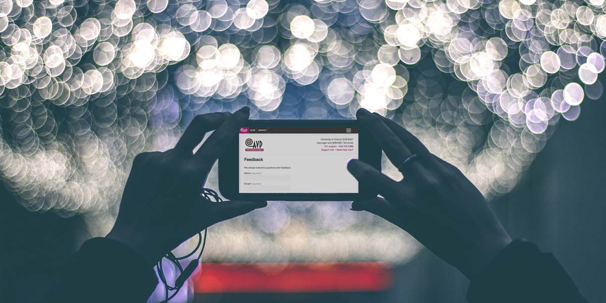 A person holds up their phone to look at the AVP website feedback form