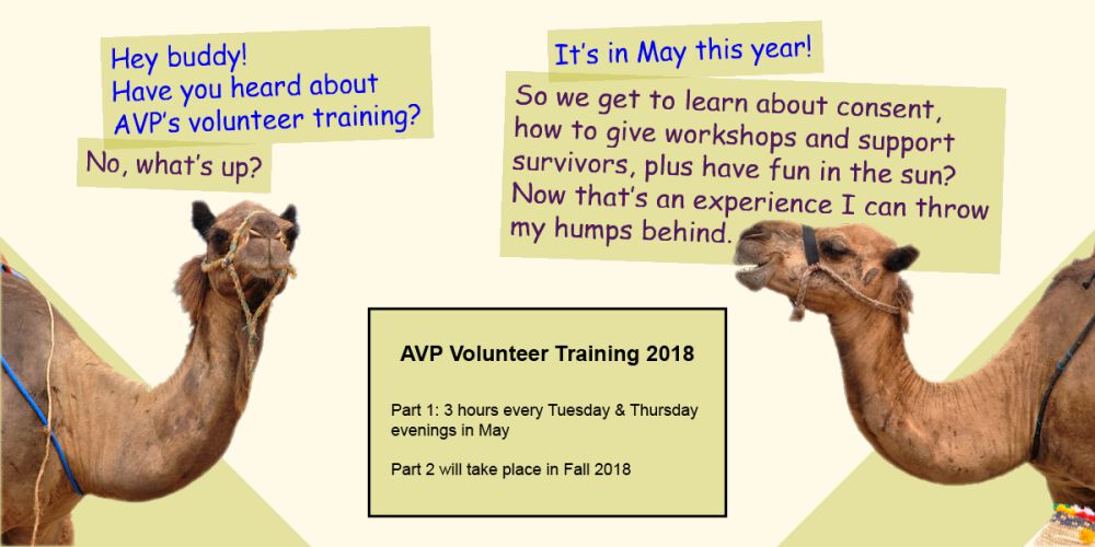 Image of 2 camels inviting people to attend Volunteer Training.