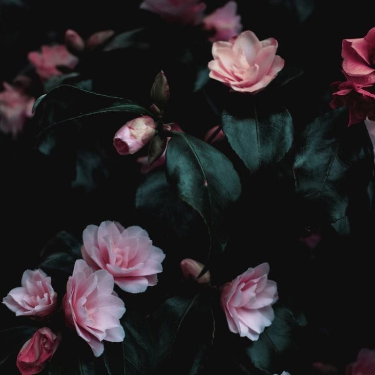 Grounding resources for survivors